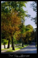 Parkstraße