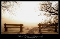 Winter am Zierker See