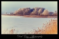 Winter am Zierker See